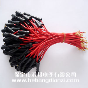 帶線保險(xiǎn)管套(6*30)