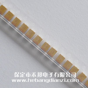 33uF 貼片鉭電容 16V