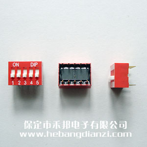 5P撥碼開關(guān) 臺產(chǎn) 平撥
